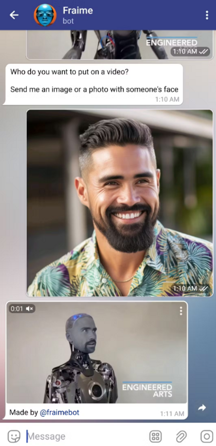 FraimeBot