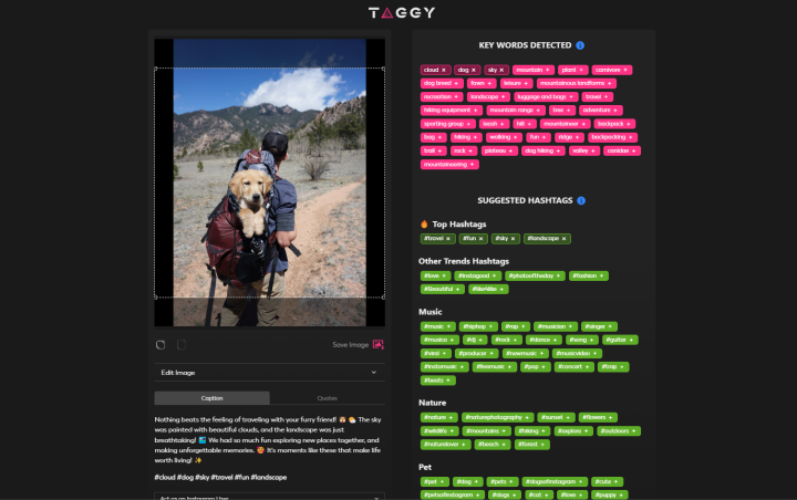Taggy