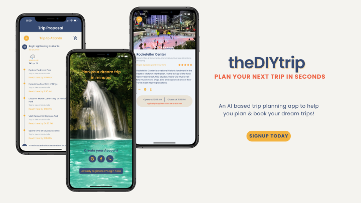 TheDIYtrip